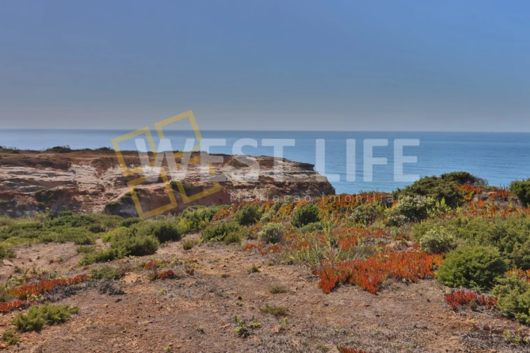 Terreno Agricola ou Rústico para Venda em São Pedro da Cadeira Foto 3