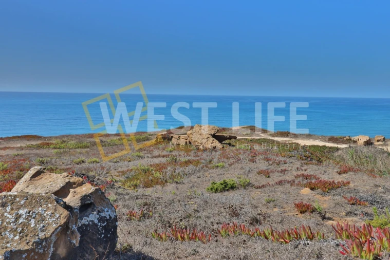Terreno Agricola ou Rústico para Venda em São Pedro da Cadeira Foto 6