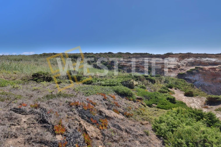 Terreno Agricola ou Rústico para Venda em São Pedro da Cadeira Foto 10