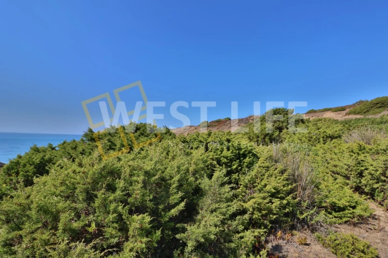 Terreno Agricola ou Rústico para Venda em São Pedro da Cadeira Foto 11