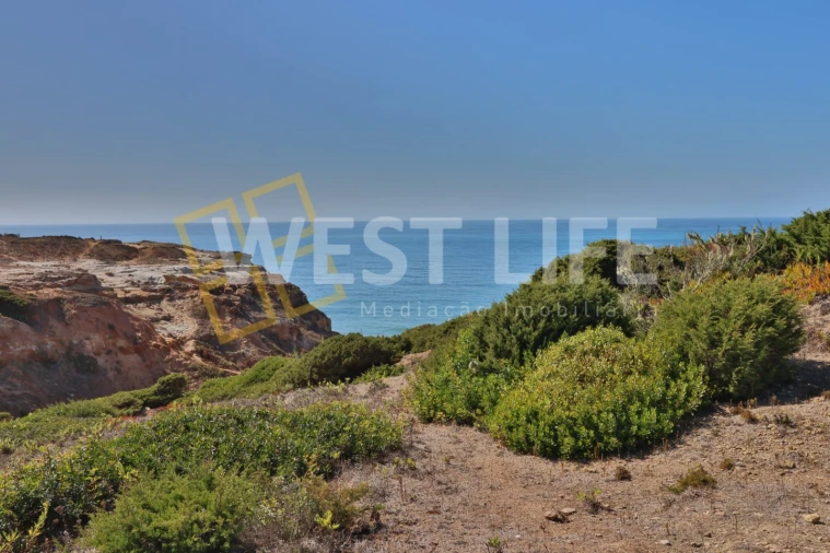 Terreno Agricola ou Rústico para Venda em São Pedro da Cadeira Foto 9