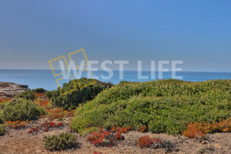 Terreno Agricola ou Rústico para Venda em São Pedro da Cadeira Foto 12