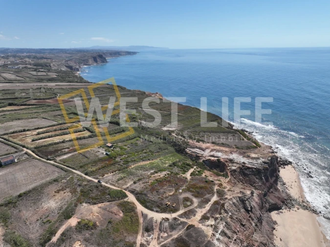 Terreno Agricola ou Rústico para Venda em São Pedro da Cadeira Foto 13