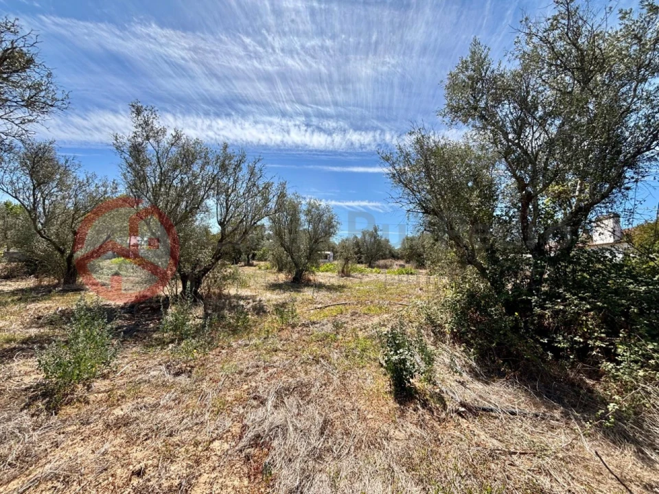 Quinta T2 para Venda em Couço Foto 4