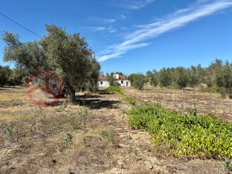 Quinta T2 para Venda em Couço Foto 10