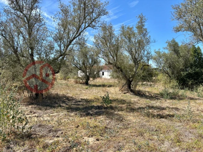 Quinta T2 para Venda em Couço Foto 12