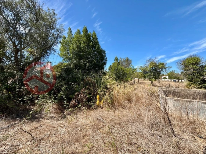 Quinta T2 para Venda em Couço Foto 14