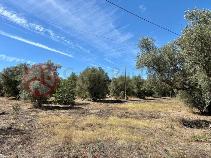 Quinta T2 para Venda em Couço Foto 17