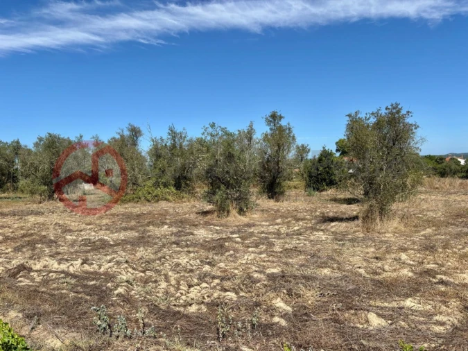 Quinta T2 para Venda em Couço Foto 20