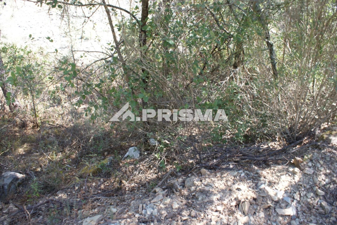 Terreno para Venda em Cardigos Foto 24