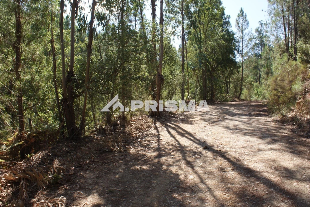 Terreno para Venda em Cardigos Foto 25