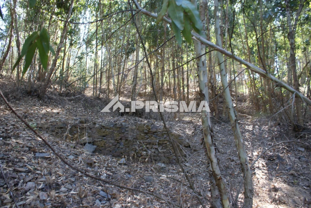 Terreno para Venda em Cardigos Foto 10