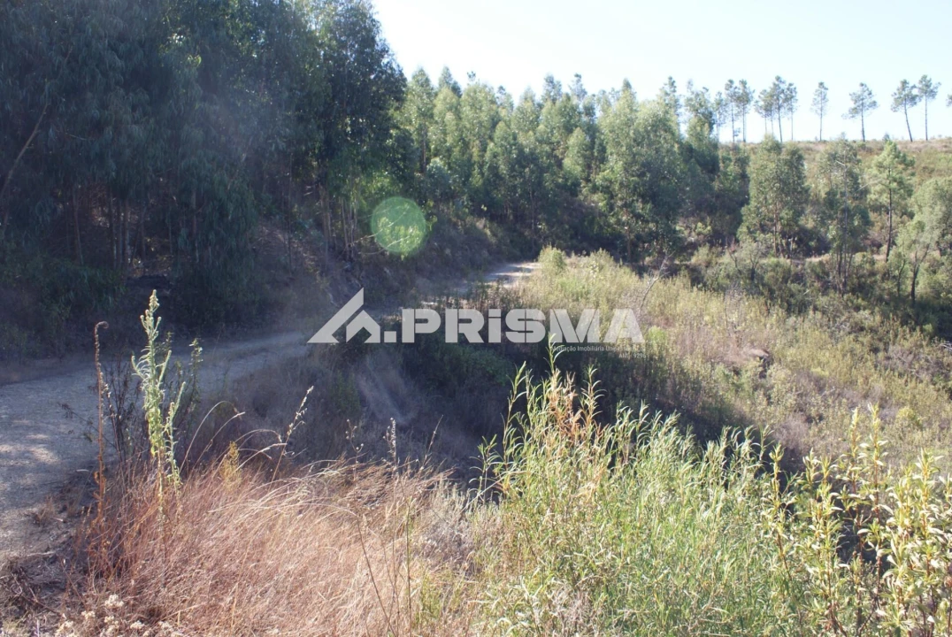 Terreno para Venda em Cardigos Foto 12