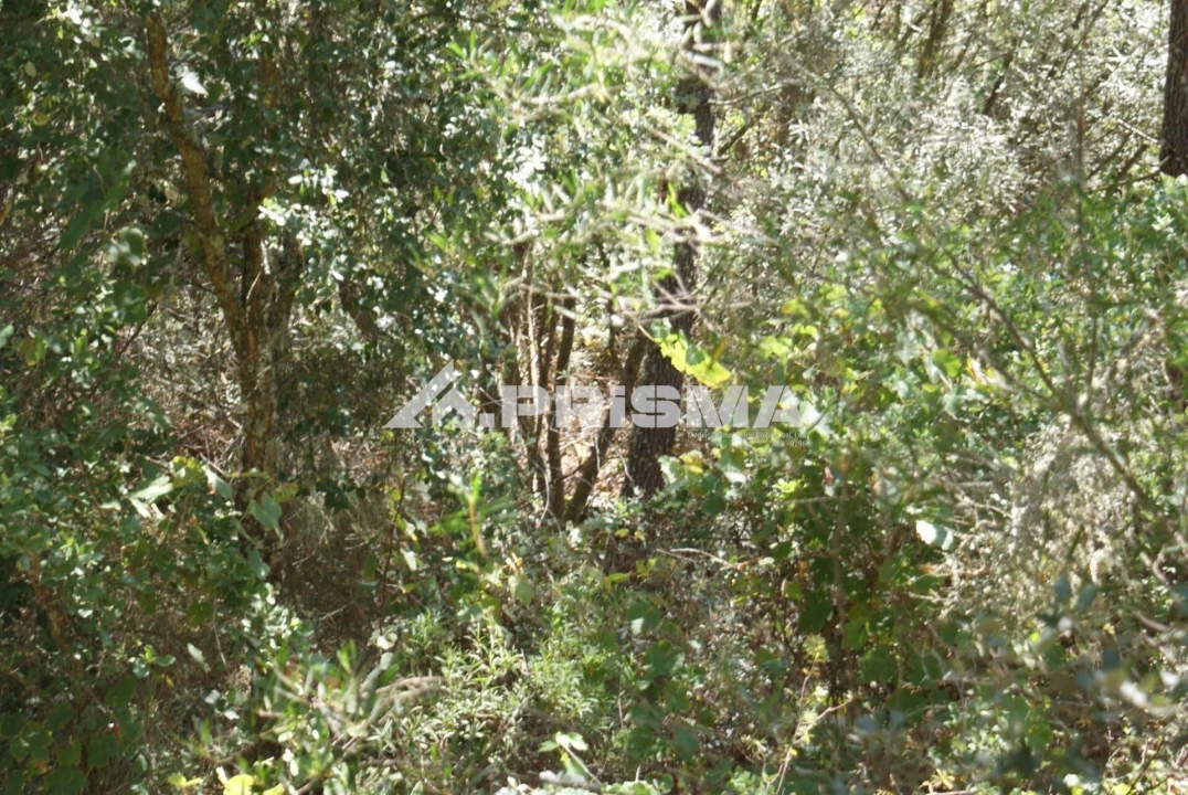 Terreno para Venda em Cardigos Foto 29