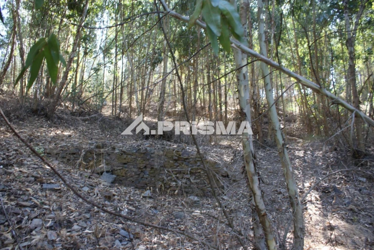Terreno para Venda em Cardigos Foto 10