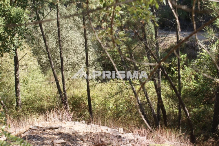 Terreno para Venda em Cardigos Foto 30