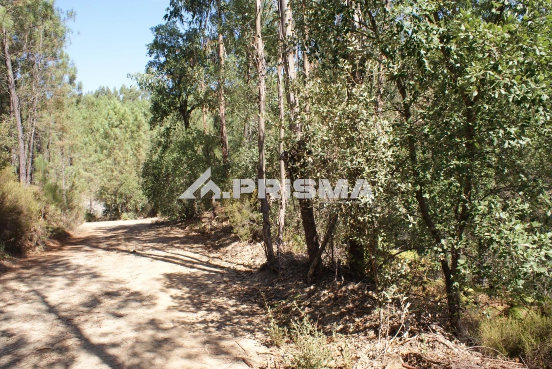 Terreno para Venda em Cardigos Foto 27