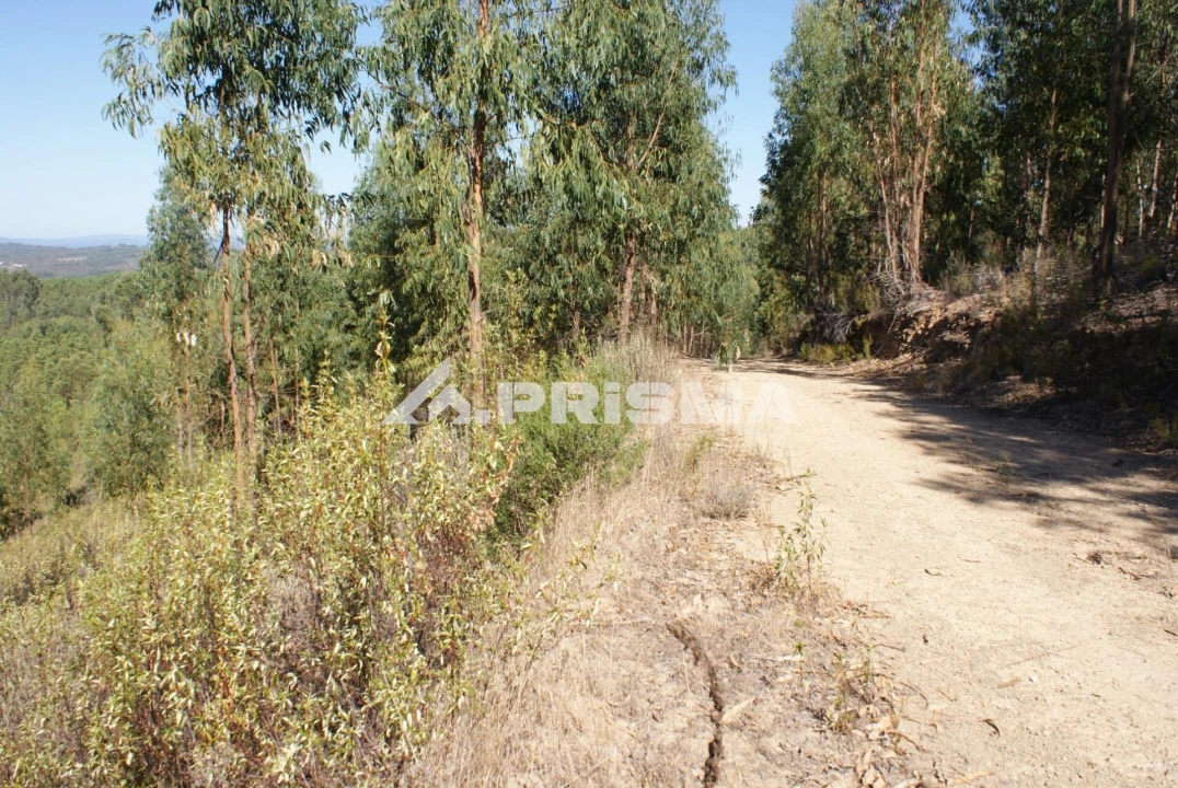 Terreno para Venda em Cardigos Foto 4