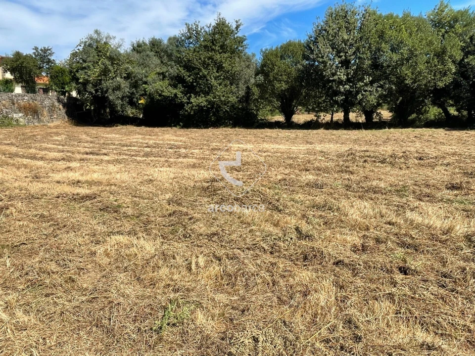 Terreno para Venda em Romarigães Foto 5
