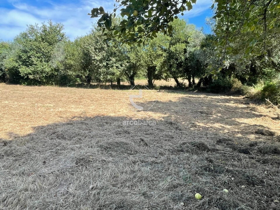 Terreno para Venda em Romarigães Foto 8