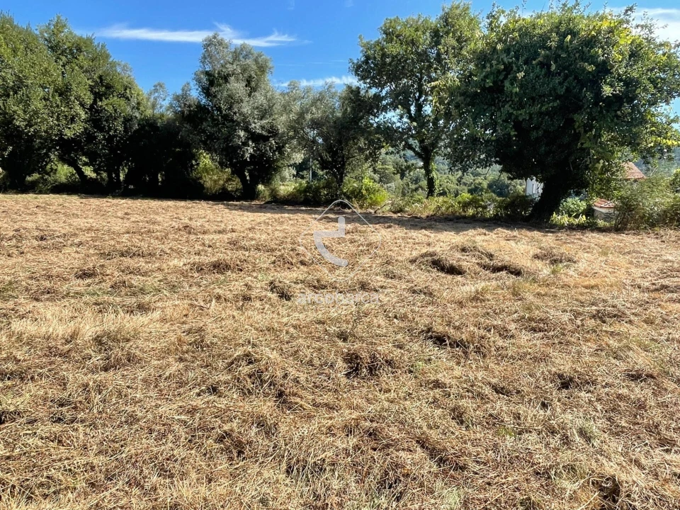 Terreno para Venda em Romarigães Foto 12