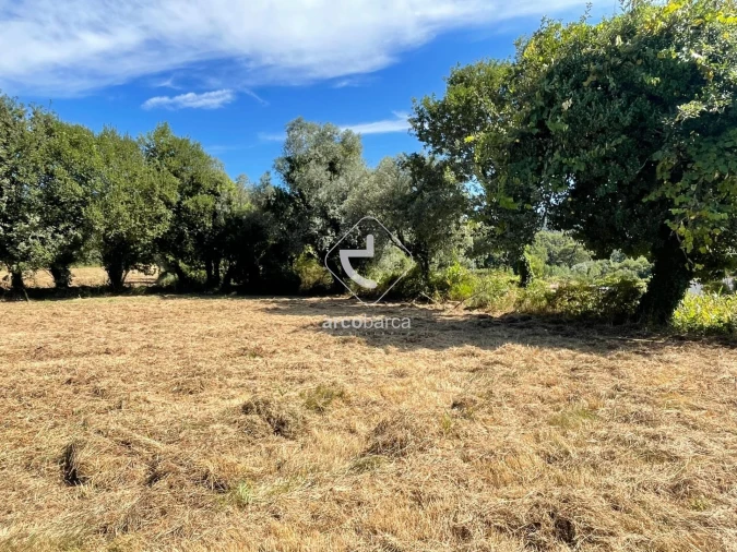 Terreno para Venda em Romarigães Foto 4