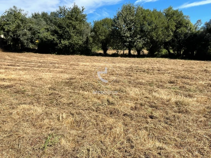 Terreno para Venda em Romarigães Foto 18