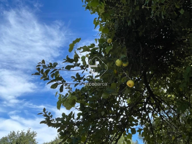 Terreno para Venda em Romarigães Foto 8