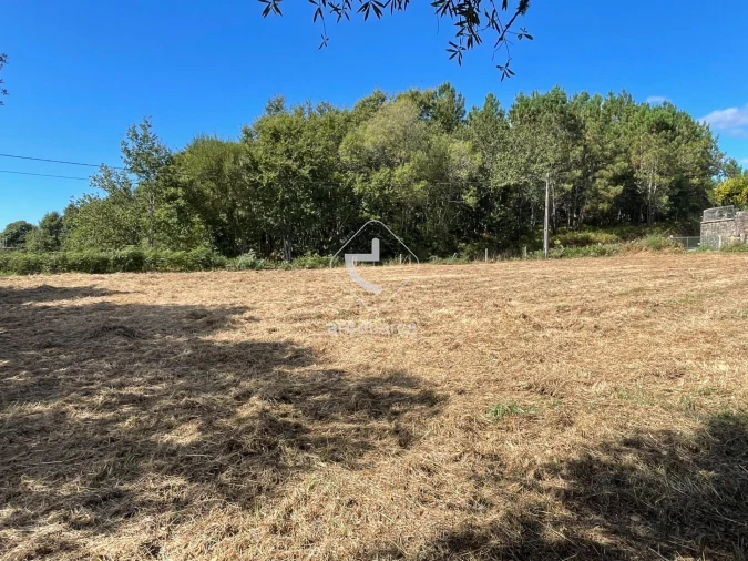 Terreno para Venda em Romarigães Foto 14