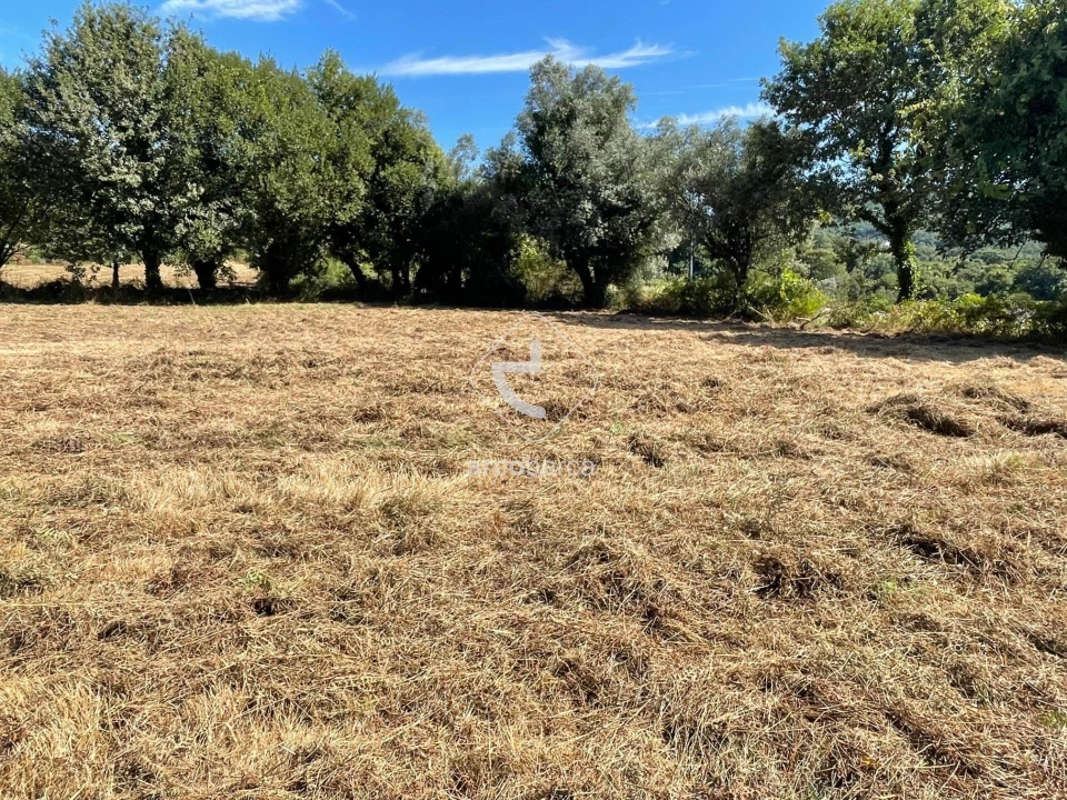 Terreno para Venda em Romarigães Foto 13