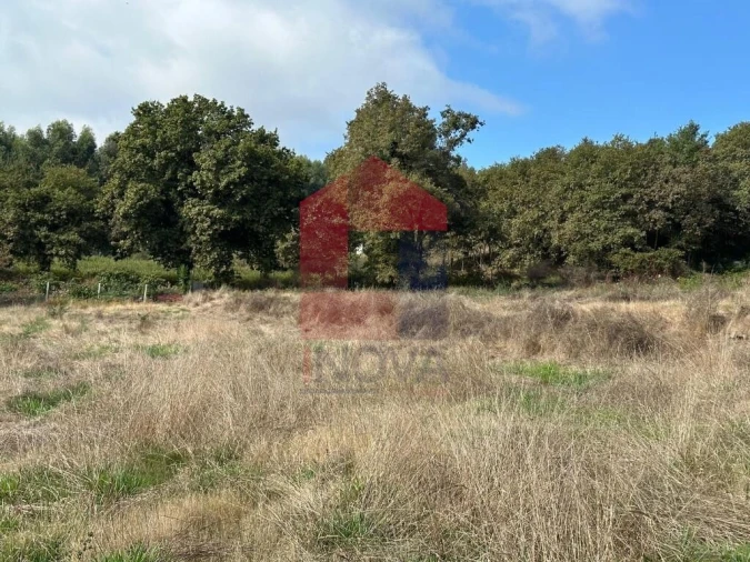 Terreno para Venda em Valbom (São Pedro), Passô e Valbom (São Martinho) Foto 23
