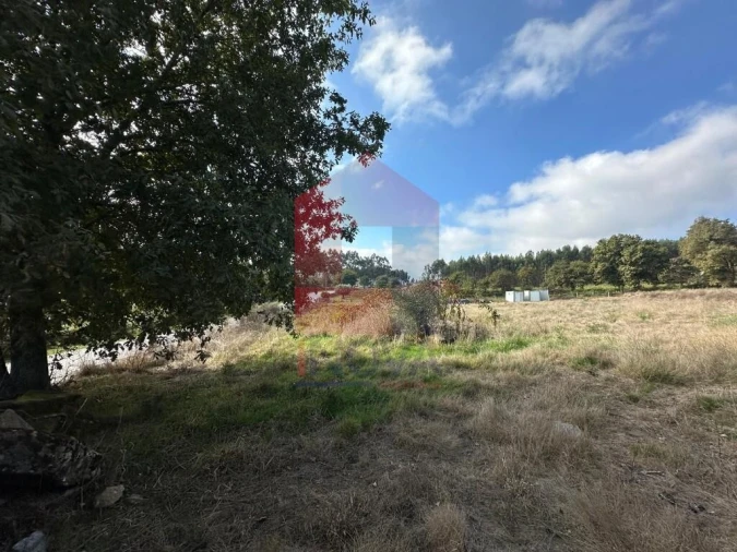 Terreno para Venda em Valbom (São Pedro), Passô e Valbom (São Martinho) Foto 17