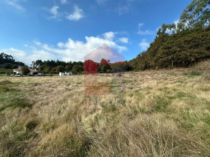Terreno para Venda em Valbom (São Pedro), Passô e Valbom (São Martinho) Foto 2