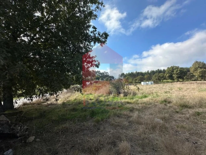 Terreno para Venda em Valbom (São Pedro), Passô e Valbom (São Martinho) Foto 7