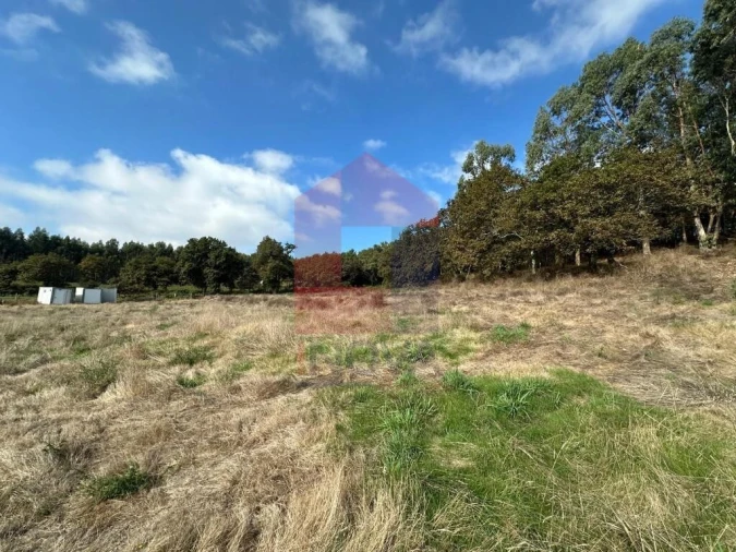 Terreno para Venda em Valbom (São Pedro), Passô e Valbom (São Martinho) Foto 15