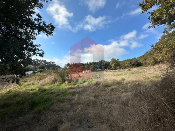 Terreno para Venda em Valbom (São Pedro), Passô e Valbom (São Martinho) Foto 21