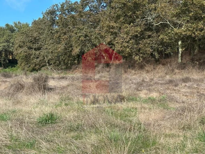 Terreno para Venda em Valbom (São Pedro), Passô e Valbom (São Martinho) Foto 26