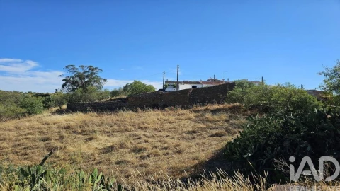 Terreno para Venda em Alcoutim e Pereiro