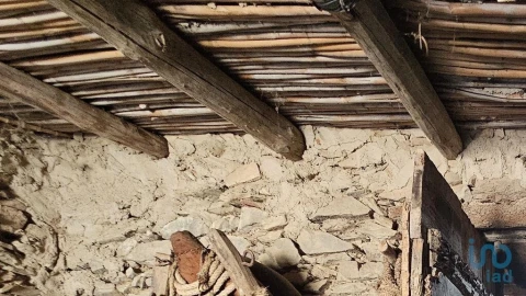 Terreno para Venda em Alcoutim e Pereiro