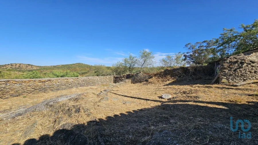 Terreno para Venda em Alcoutim e Pereiro