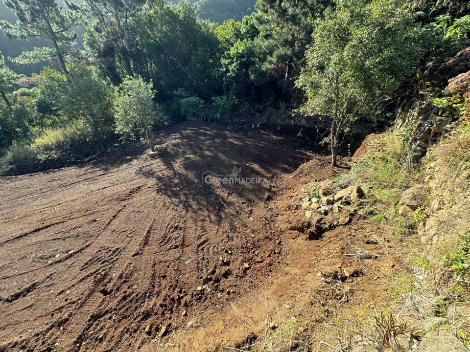 Terreno para Venda em São Vicente Foto 39