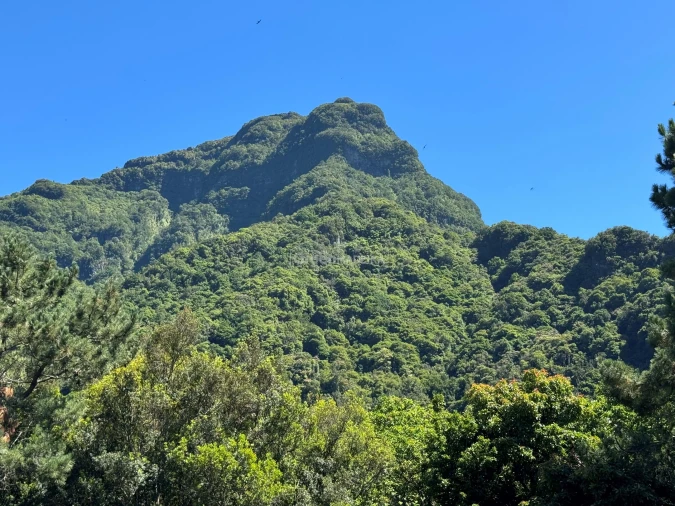 Terreno para Venda em São Vicente Foto 10
