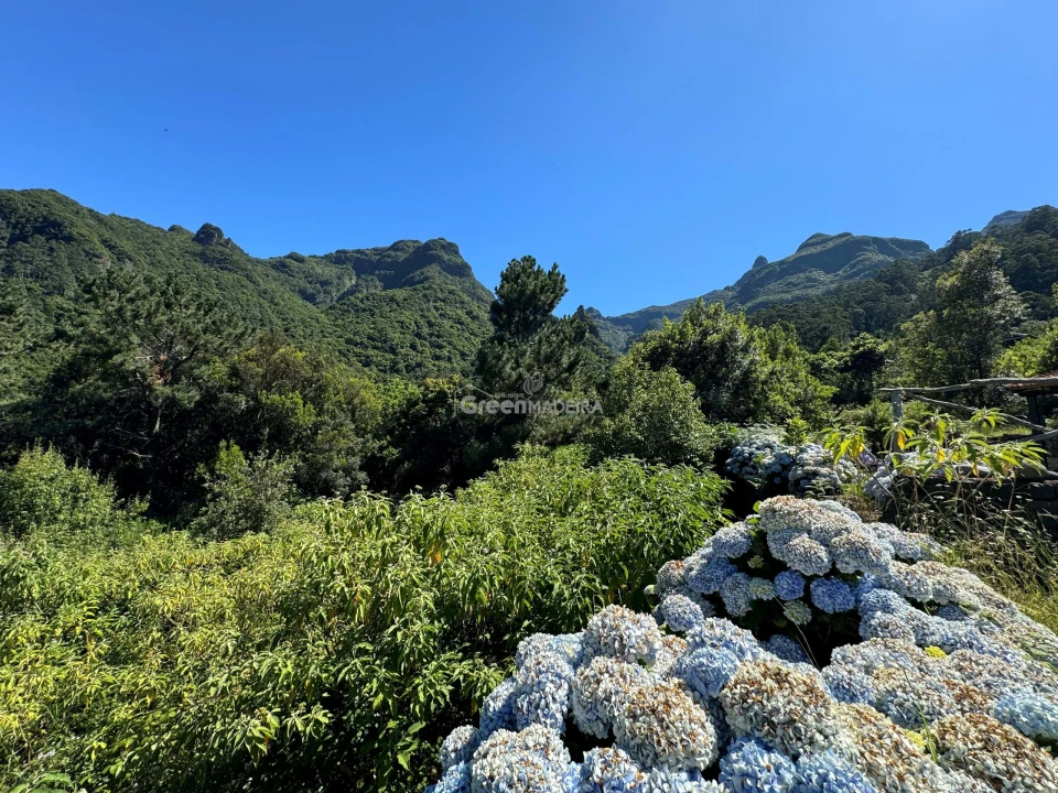 Terreno para Venda em São Vicente Foto 5