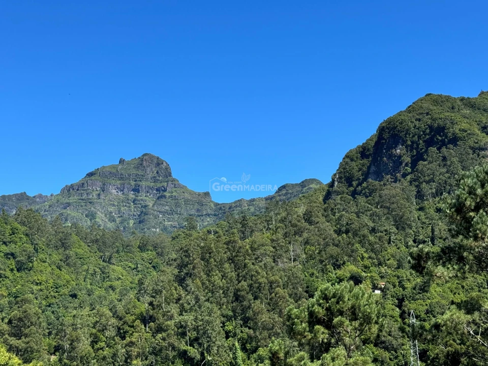 Terreno para Venda em São Vicente Foto 11