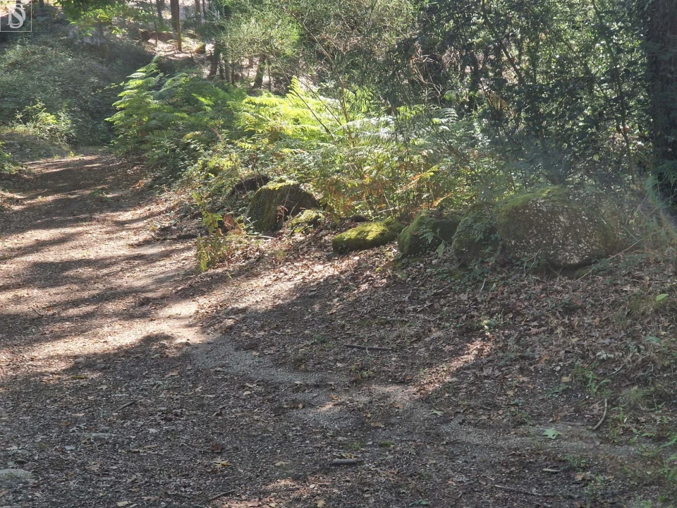 Terreno para Venda em Mosteiro Foto 8