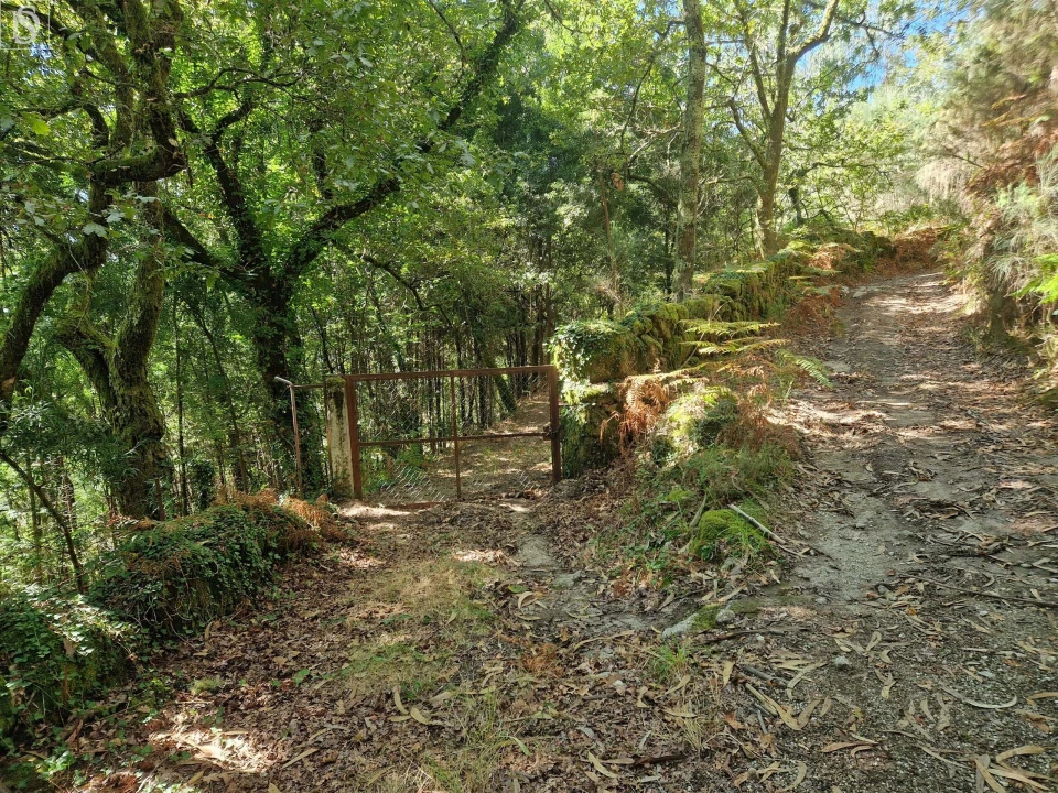 Terreno para Venda em Mosteiro Foto 2
