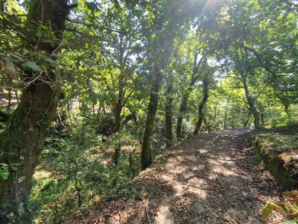 Terreno para Venda em Mosteiro Foto 20