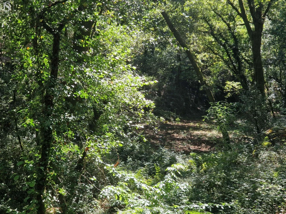 Terreno para Venda em Mosteiro Foto 9