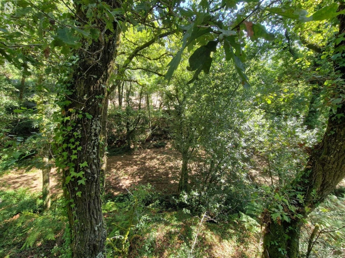 Terreno para Venda em Mosteiro Foto 17