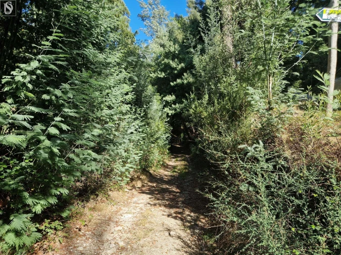 Terreno para Venda em Mosteiro Foto 1